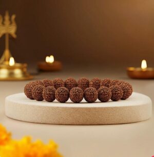5 mukhi rudraksha bracelet